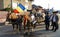 Alba Iulia, Romania - 01.12.2018: Man wearing traditional clothing waving the Romanian flag while atop a horse drawn carriage