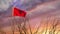 Albania flying flag at sunset dramatic sky - animation footage