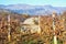 Albania,  history. Old concrete bunker in vineyard on sunny autumn day