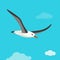 Albatross bird is flying in cloudy sky