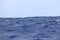 Albatross flying on storming sea background. Blue ocean water and storm waves. Wild sea bird in natural habitat.