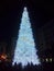 ALBERO DI NATALE, SALERNO, SUD ITALIA.