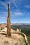 Albero secco nel Bryce Canyon