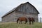 Alberta Barn