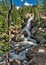 Alberta Falls in Rocky Mountain National Park