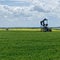 Alberta Farm Land