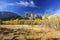 Alberta Foothills Autumn Landscape