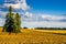 Alberta Rural Landscape -Agricultural fields