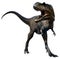 Albertosaurus 3D illustration