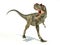 Albertosaurus Dinosaur, photorealistic representation, dynamic p