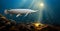 Albino Alligator Gars fish in river