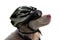 Albino dog with sunglasses and bike helmet