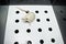 Albino laboratory rat moving while on hole board