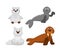 Albino and North Pole adorable cute animals set