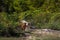 Albino Thai buffalo behind green bush in nature forest