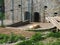 albino white lions rest in the zoo. Lion Panthera leo is a species of carnivorous mammals, one of representatives of the