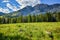 Albion Basin Skyline