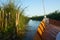 Albufera canal boats in El Palmar de Valencia Spain