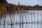 Albufera lagoon in Valencia with river canes and fishing net. Nature park with lake of salt water. Lake in Spain. Peaceful place