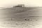 Albumen Print - Barn With Cows in Field