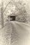 Albumen Print - Colville Covered Bridge