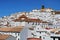 Alcala de los Grazules, Andalusia, Spain.