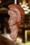 Alcatra, bovine rump meat, traditional brazilian barbecue whole piece on skewer isolated on a blury background