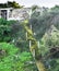 Alcatraz island prison a==overgrown abandoned stairway