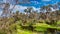 The Alcoa Wellard wetlands provide a refuge for water birds during autumn when hot summer weather has dried up other wetlands