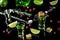 Alcohol, luxurious spirits and dangerous liquor absinthe, pouring on stainless steel spoon, brown sugar, cranberries and lime,