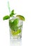 Alcohol mojito cocktail with fresh mint isolated