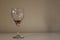 Alcohol/wine empty glass on white stock