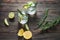 Alcoholic drink gin tonic cocktail with lemon, rosemary and ice on rustic wooden table.