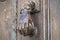 Aldaba ÃÂºnica con forma de mano en Guardia, Vitoria: Un pintoresco detalle arquitectÃÂ³nico