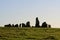 AleÂ´s stones - stone circle