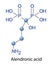 Alendronic acid medication used to treat osteoporosis and Pagets disease