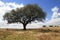 Alentejo plain