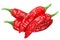 Aleppo or halaby pepper, whole pods, top