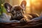 Alert Cute french bulldog. Generate Ai