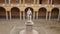 Alessandro Volta statue at University of Pavia, PV, Italy, zoom out