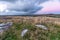 Alex Tor on Bodmin Moor