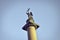 Alexander Column top