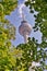 Alexanderplatz Tower in Berlin through tree leaves