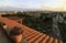 Alexandria Egypt city view from top roof of high building house, landscape with park forest green trees, blue clouds sky,  sea