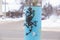 Alexandrov,Russia 05 January 2022. A lizard is hanging on a lamppost