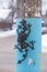 Alexandrov,Russia 05 January 2022. A lizard is hanging on a lamppost