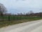 Alfalfa field on farm road