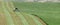 An alfalfa hay field being cut and wind rowed.
