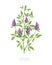 Alfalfa plant. Medicago sativa. Lucerne Agriculture cultivated plant. Green leaves. Flat vector color Illustration clipart