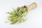 Alfalfa sprouts in wooden scoop, white background